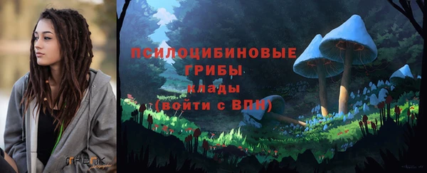 дживик Надым